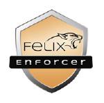 FELIX ENFORCER SECURITY, PROTECTS AGAINST MALWARE &amp; THREATS,1 USER, 12MTH SUB OEM