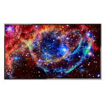 NEC 50&quot; E507Q  LED 4K UHD Commercial-Grade/ 16:9/ 16/7 Usage/ VGA,Component, HDMI/ Speakers