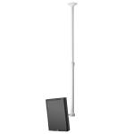 Atdec Telehook 1040 Ceiling Mount Tilt Long (White)